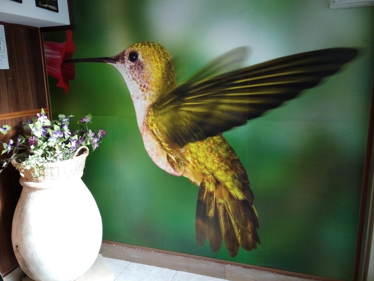 Colibri Family & Bike Loano